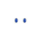 Oval Sapphire Studs