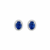 Oval Sapphire Studs