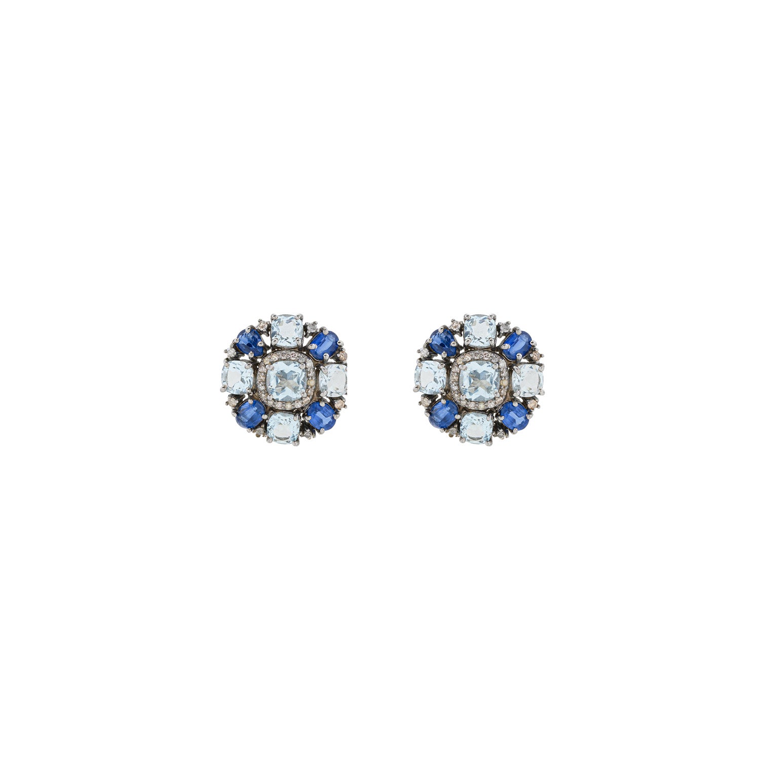 Blue Bird Earring