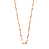 Stainless Steel Chain